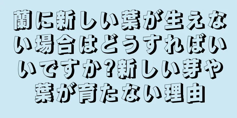 蘭に新しい葉が生えない場合はどうすればいいですか?新しい芽や葉が育たない理由