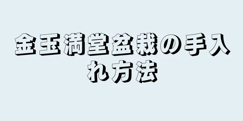 金玉満堂盆栽の手入れ方法