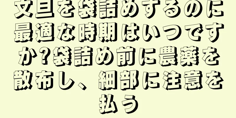 文旦を袋詰めするのに最適な時期はいつですか?袋詰め前に農薬を散布し、細部に注意を払う