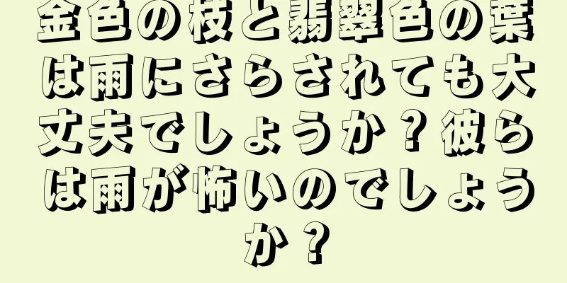 金色の枝と翡翠色の葉は雨にさらされても大丈夫でしょうか？彼らは雨が怖いのでしょうか？