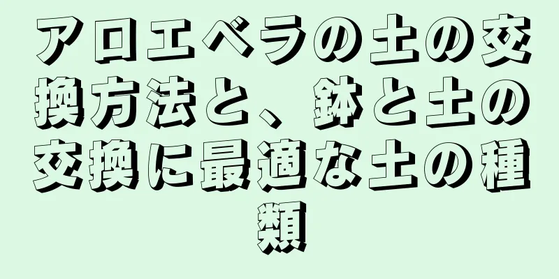 アロエベラの土の交換方法と、鉢と土の交換に最適な土の種類