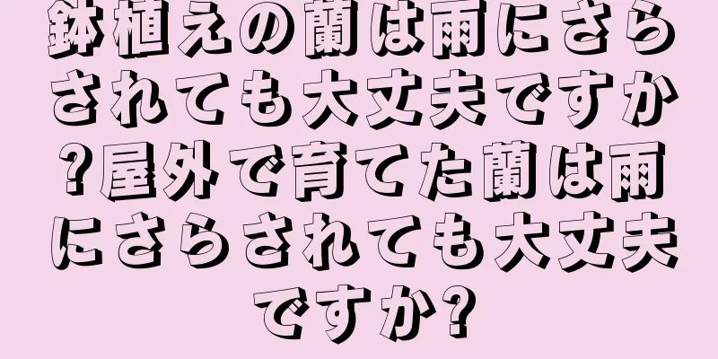 鉢植えの蘭は雨にさらされても大丈夫ですか?屋外で育てた蘭は雨にさらされても大丈夫ですか?