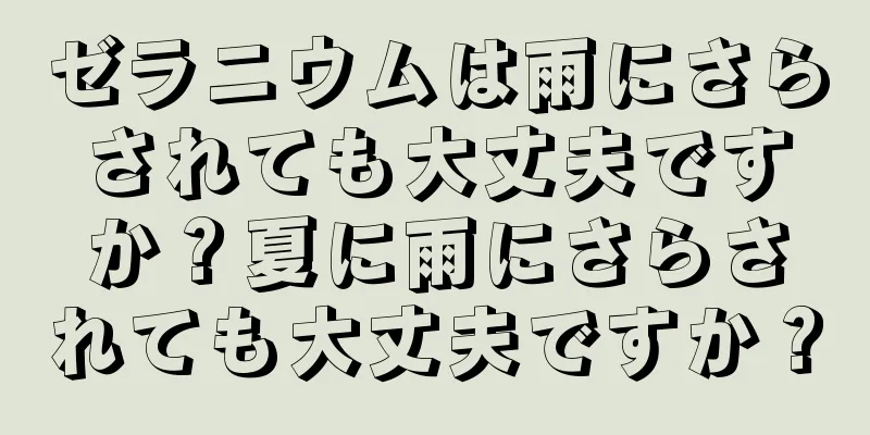 ゼラニウムは雨にさらされても大丈夫ですか？夏に雨にさらされても大丈夫ですか？