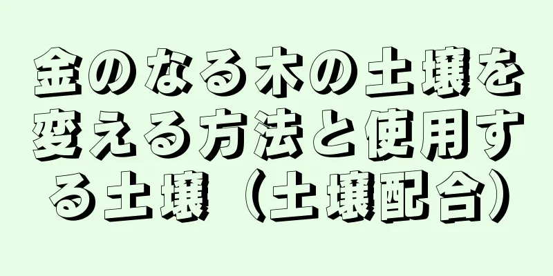 金のなる木の土壌を変える方法と使用する土壌（土壌配合）