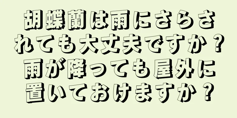 胡蝶蘭は雨にさらされても大丈夫ですか？雨が降っても屋外に置いておけますか？
