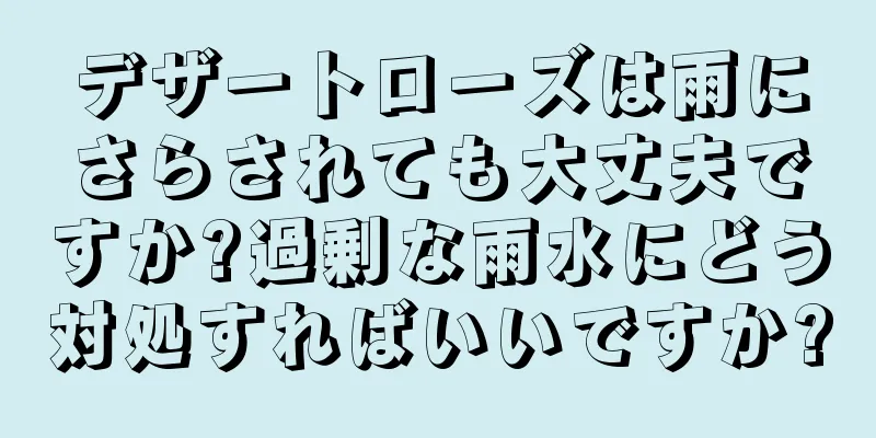 デザートローズは雨にさらされても大丈夫ですか?過剰な雨水にどう対処すればいいですか?