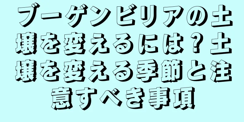 ブーゲンビリアの土壌を変えるには？土壌を変える季節と注意すべき事項