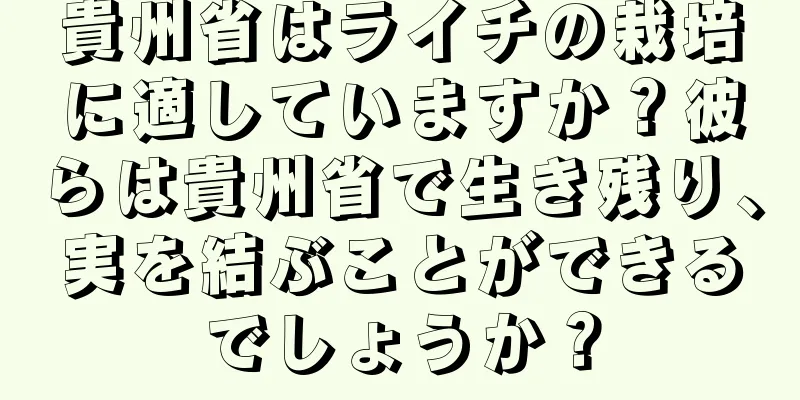 貴州省はライチの栽培に適していますか？彼らは貴州省で生き残り、実を結ぶことができるでしょうか？