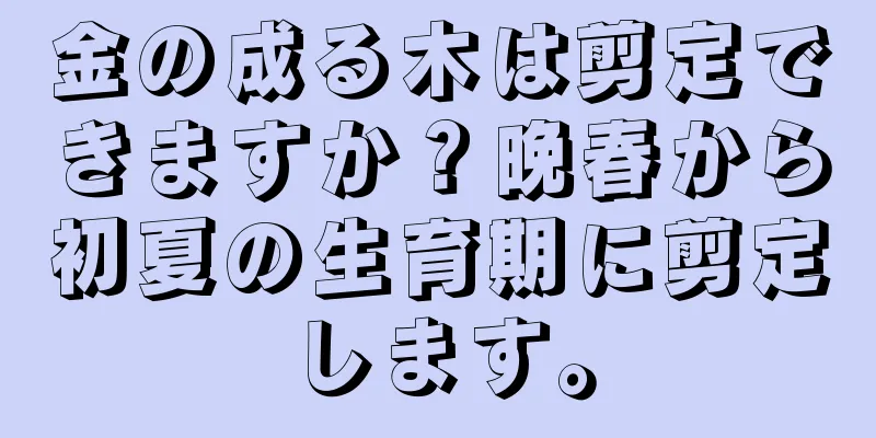 金の成る木は剪定できますか？晩春から初夏の生育期に剪定します。