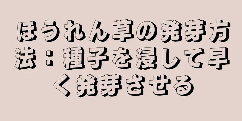 ほうれん草の発芽方法：種子を浸して早く発芽させる