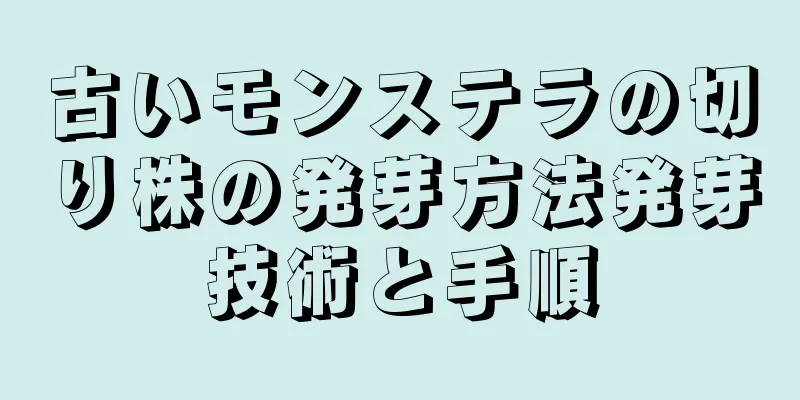 古いモンステラの切り株の発芽方法発芽技術と手順