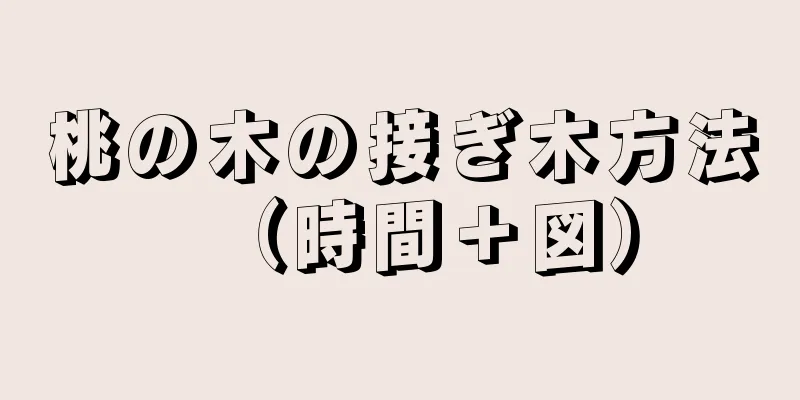 桃の木の接ぎ木方法（時間＋図）