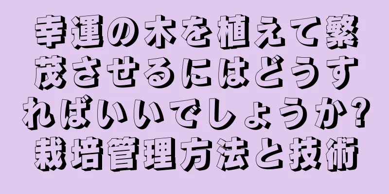 幸運の木を植えて繁茂させるにはどうすればいいでしょうか?栽培管理方法と技術