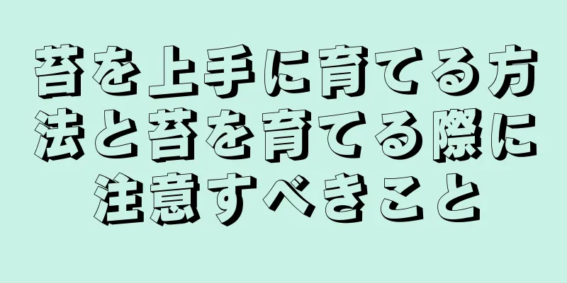 苔を上手に育てる方法と苔を育てる際に注意すべきこと