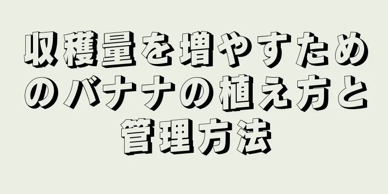収穫量を増やすためのバナナの植え方と管理方法