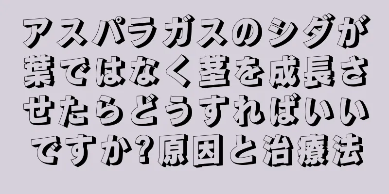 アスパラガスのシダが葉ではなく茎を成長させたらどうすればいいですか?原因と治療法