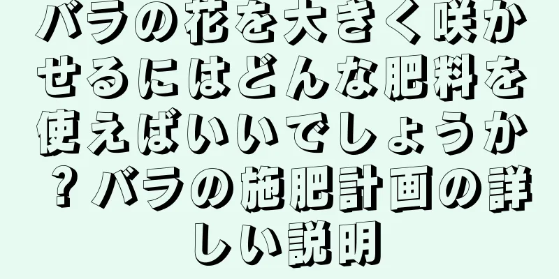 バラの花を大きく咲かせるにはどんな肥料を使えばいいでしょうか？バラの施肥計画の詳しい説明