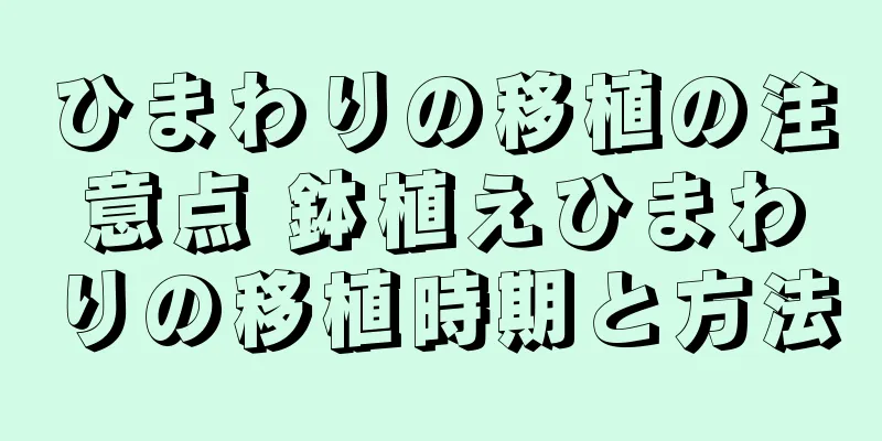 ひまわりの移植の注意点 鉢植えひまわりの移植時期と方法