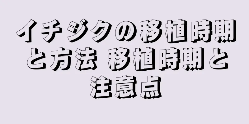 イチジクの移植時期と方法 移植時期と注意点
