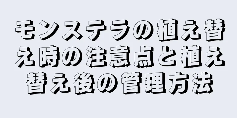 モンステラの植え替え時の注意点と植え替え後の管理方法