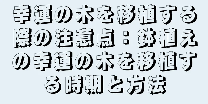 幸運の木を移植する際の注意点：鉢植えの幸運の木を移植する時期と方法