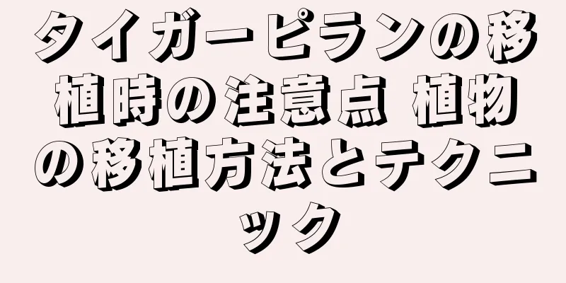 タイガーピランの移植時の注意点 植物の移植方法とテクニック