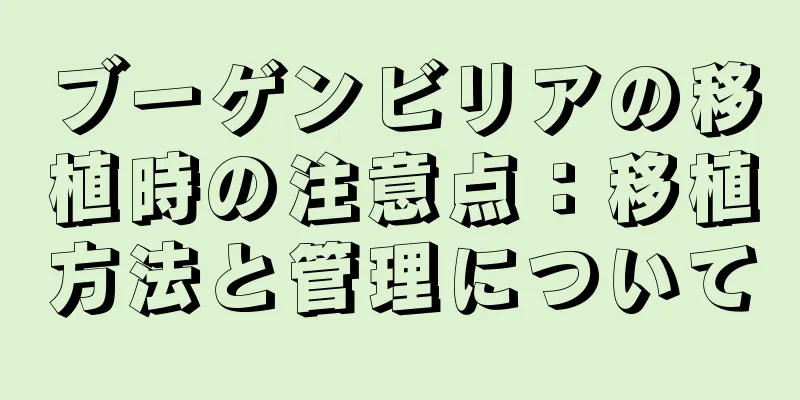 ブーゲンビリアの移植時の注意点：移植方法と管理について
