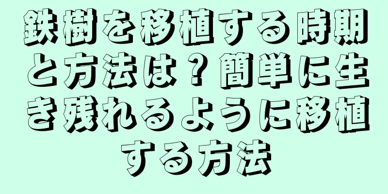 鉄樹を移植する時期と方法は？簡単に生き残れるように移植する方法