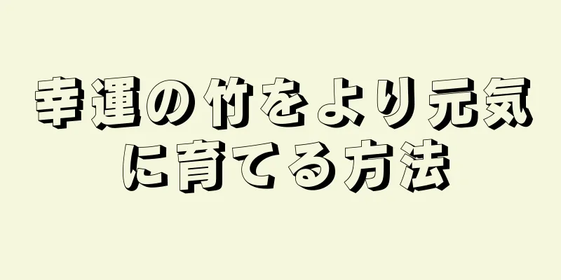 幸運の竹をより元気に育てる方法