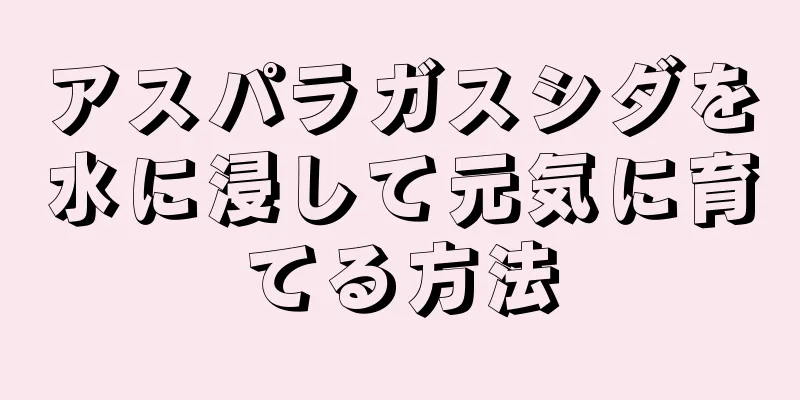 アスパラガスシダを水に浸して元気に育てる方法