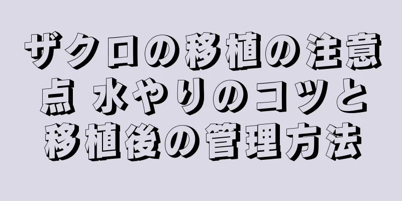 ザクロの移植の注意点 水やりのコツと移植後の管理方法