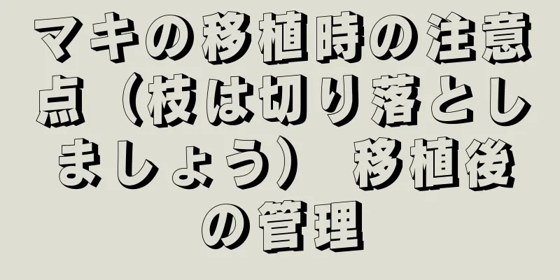 マキの移植時の注意点（枝は切り落としましょう） 移植後の管理