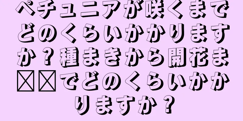 ペチュニアが咲くまでどのくらいかかりますか？種まきから開花ま​​でどのくらいかかりますか？