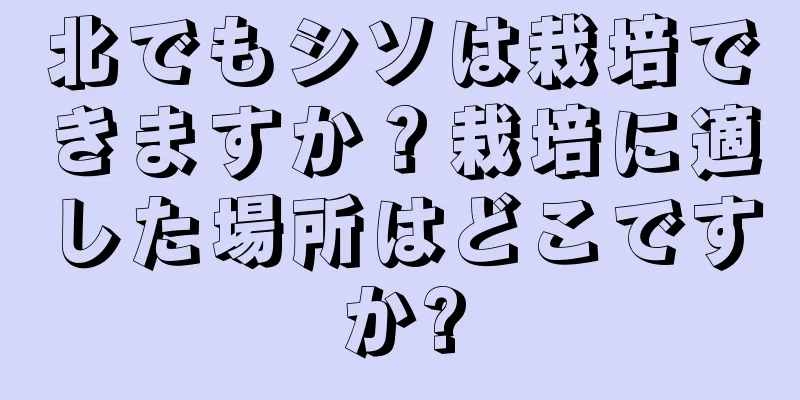 北でもシソは栽培できますか？栽培に適した場所はどこですか?