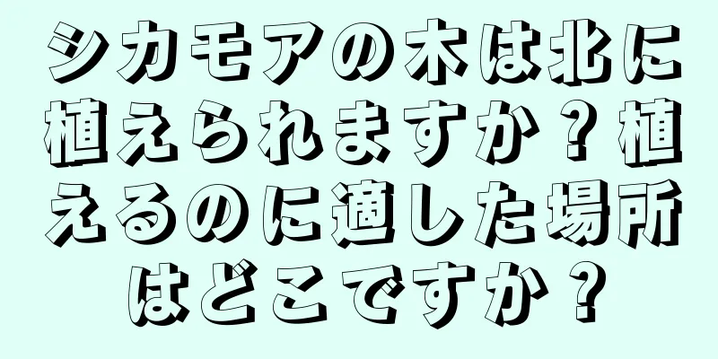 シカモアの木は北に植えられますか？植えるのに適した場所はどこですか？