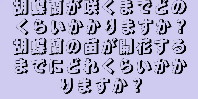 胡蝶蘭が咲くまでどのくらいかかりますか？胡蝶蘭の苗が開花するまでにどれくらいかかりますか？