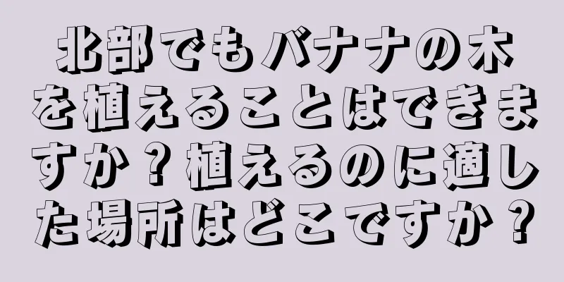 北部でもバナナの木を植えることはできますか？植えるのに適した場所はどこですか？