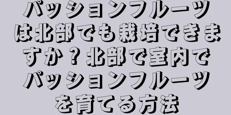 パッションフルーツは北部でも栽培できますか？北部で室内でパッションフルーツを育てる方法