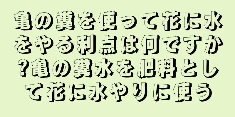 亀の糞を使って花に水をやる利点は何ですか?亀の糞水を肥料として花に水やりに使う