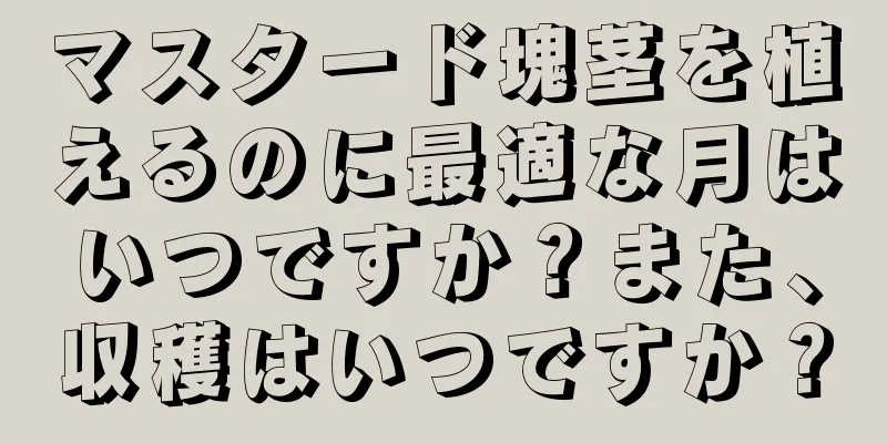 マスタード塊茎を植えるのに最適な月はいつですか？また、収穫はいつですか？