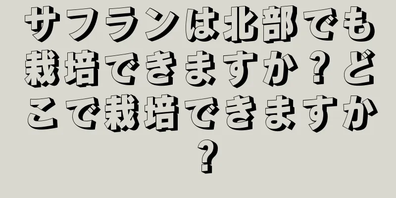 サフランは北部でも栽培できますか？どこで栽培できますか？