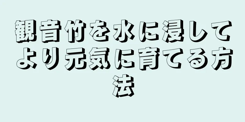 観音竹を水に浸してより元気に育てる方法