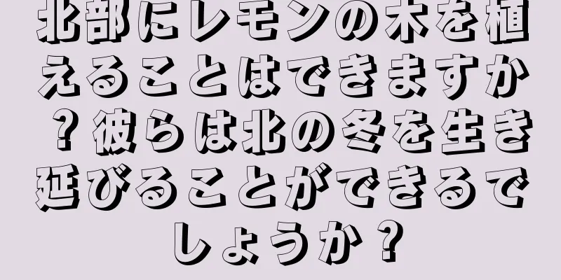 北部にレモンの木を植えることはできますか？彼らは北の冬を生き延びることができるでしょうか？