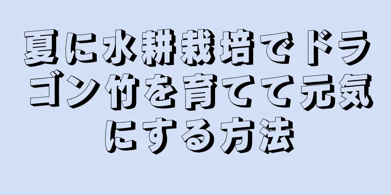 夏に水耕栽培でドラゴン竹を育てて元気にする方法