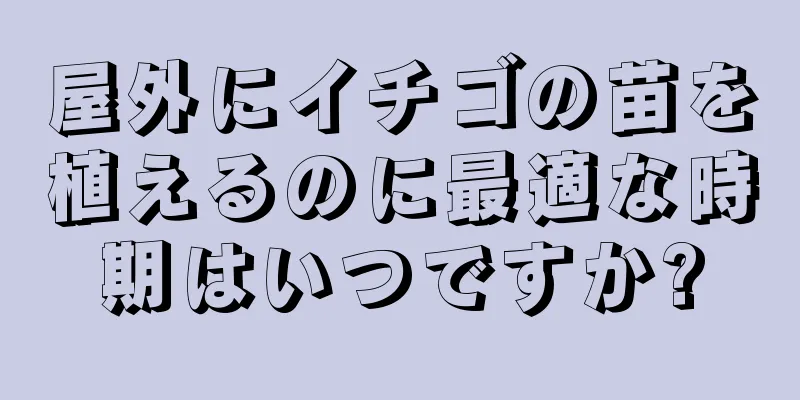 屋外にイチゴの苗を植えるのに最適な時期はいつですか?