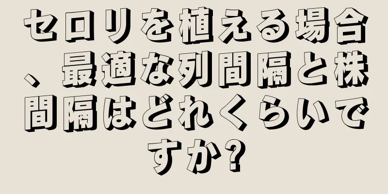 セロリを植える場合、最適な列間隔と株間隔はどれくらいですか?
