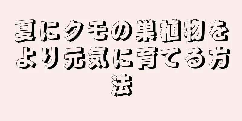 夏にクモの巣植物をより元気に育てる方法