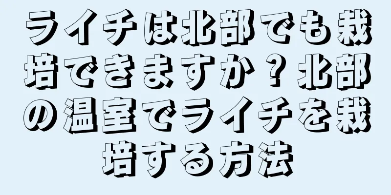 ライチは北部でも栽培できますか？北部の温室でライチを栽培する方法