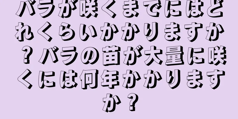 バラが咲くまでにはどれくらいかかりますか？バラの苗が大量に咲くには何年かかりますか？