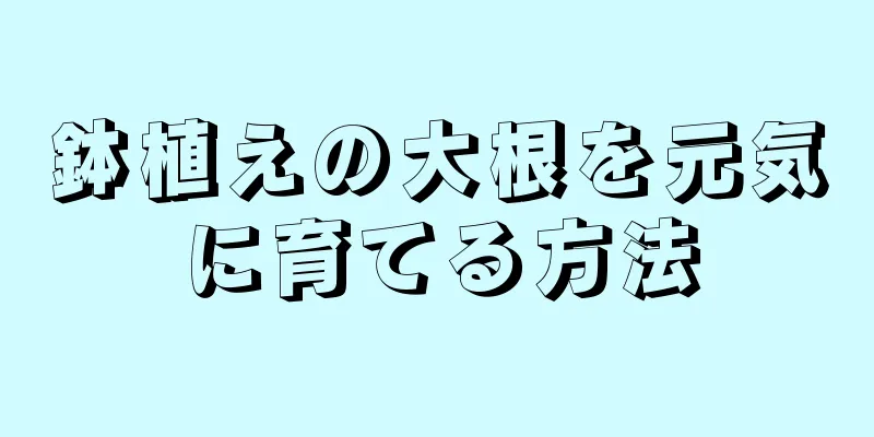 鉢植えの大根を元気に育てる方法